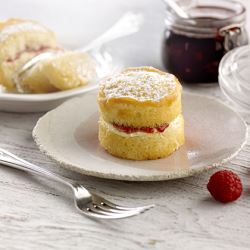 Handmade Cake Company Individual Victoria sponge