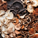 Exotic Mixed Mushrooms (Case of 1)