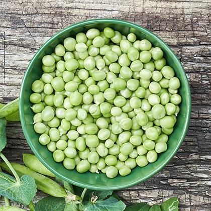 Laila Marrowfat Peas