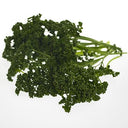 BB - Parsley Picked (Curly)