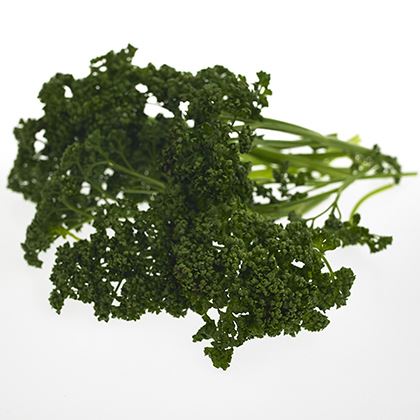 BB - Parsley Picked (Curly)