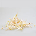 Beansprouts