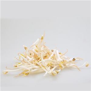 Beansprouts