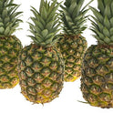 Pineapple Large