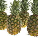 Pineapple Large (Case of 8)