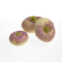 BB - Turnip Loose