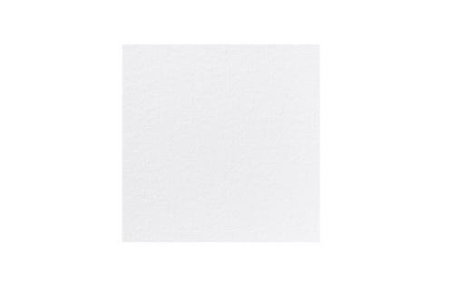 Brakes White 2ply Napkin 33cm