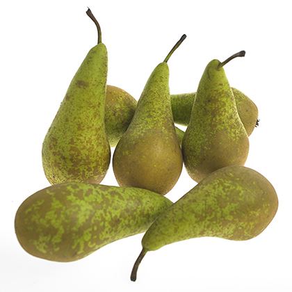 BB - Packham / Conference Pear