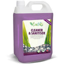 Ecovate Cleaner Sanitiser (Case of 2)