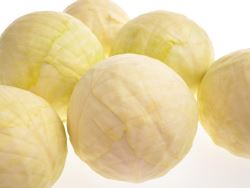 Catering Cabbage White Ungraded (Case of 1)