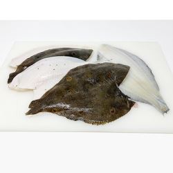 Rockport Vacuum Packed Fresh Plaice Fillets 140-170g - Order by 2pm Mon-Thurs for next delivery day (Case of 5)