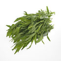 BB - Tarragon
