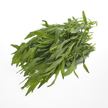 BB - Tarragon