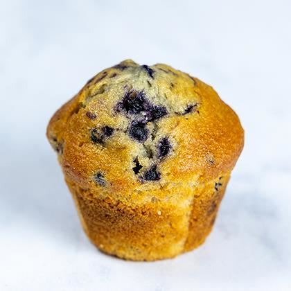 Speedibake Classic Blueberry Muffin (Case of 1)