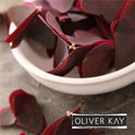 (4 Days) Pre-Order Micro Butterfly Sorrel x 25 pieces