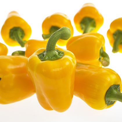 Yellow Capsicum Peppers 70-90mm