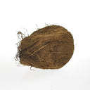 BB - Coconut