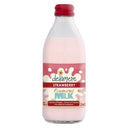 Delamare Strawberry Milk (Case of 20)