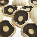 Mushroom Large Flat (Case of 1)