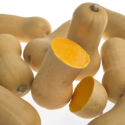 Butternut Squash (Case of 10)