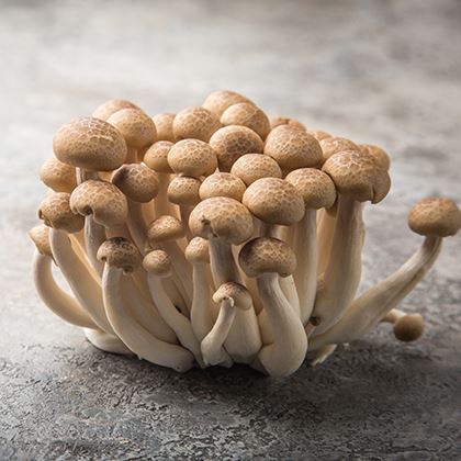 BB - Shimeji Mushrooms