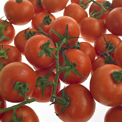 Tomatoes on Vine