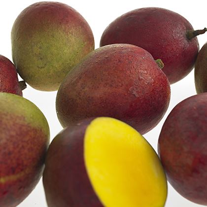 Mango Loose