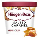 Haagen Dazs Salted Caramel Ice Cream Mini Tub (Case of 24)