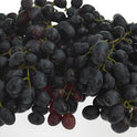 Grape Red / Black / Crimson Seedless