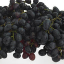 Grape Red / Black / Crimson Seedless (Case of 1)