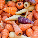 BB - Chantenay Carrot