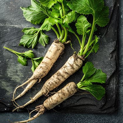 Salsify Loose (Case of 1)