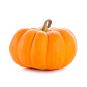 BB - Pumpkin Muscat Import D4