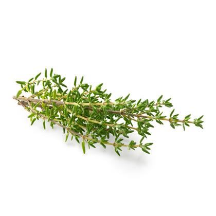 Herb Thyme Pots Living