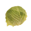 BB - Cabbage Savoy / Hispi