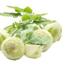 Kohlrabi