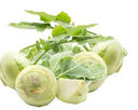 Kohlrabi (Case of 1)