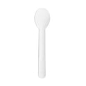 Paper Disposable White Teaspoon