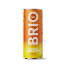 Brio Natural Organic Energy Ginger Can (Case of 12)