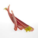 BB - Rhubarb UK / Yorkshire Indoor