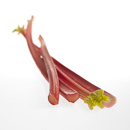 BB - Rhubarb UK / Yorkshire Indoor