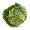 Cabbage Savoy UK (Case of 12)