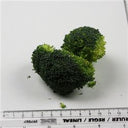 Prepared Broccoli Floret (Case of 1)