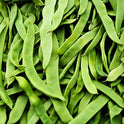 Runner Beans