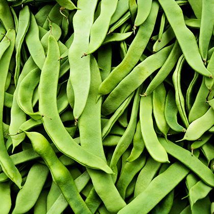 Runner Beans (Case of 1)
