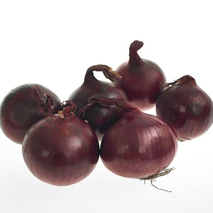 BB - Red Onion Pre Pack Net 60Mm +
