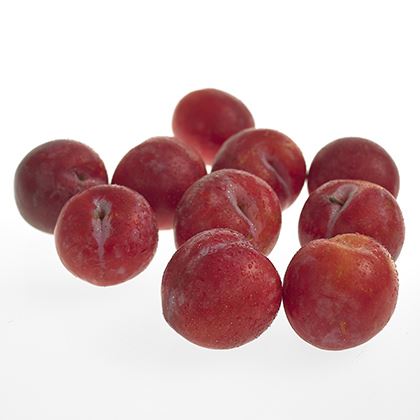 BB - Plum Red  -SI *
