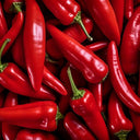 Red Chillies (Case of 1)