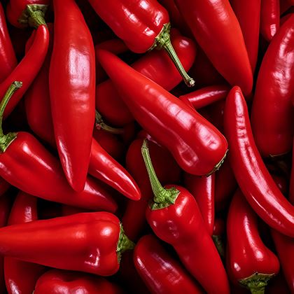 Red Chillies (Case of 1)
