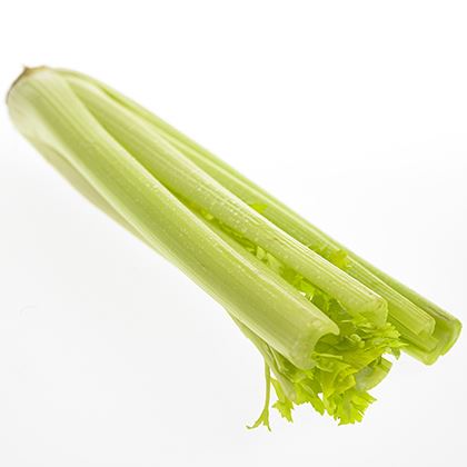 BB - Celery Green/White